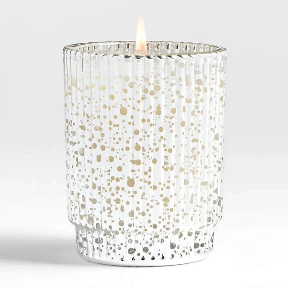 Crate & Barrel Fete Silver Alpine Holiday 1-Wick Balsam & Peppermint Candle New